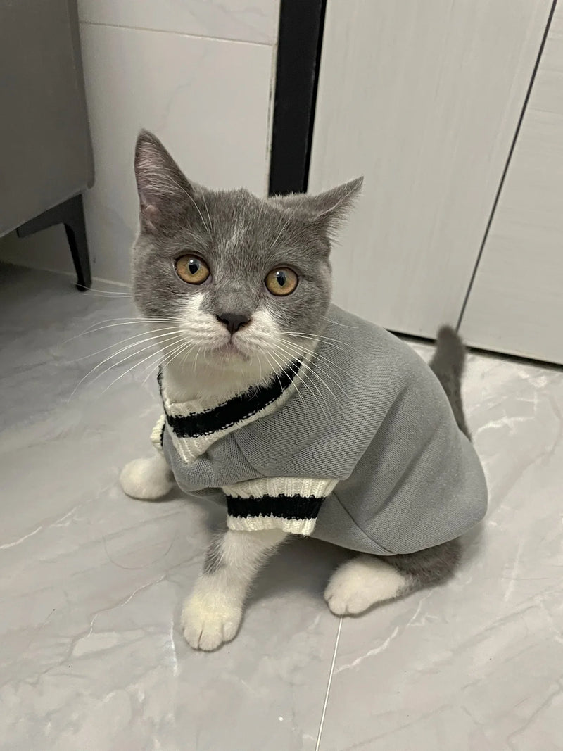 Autumn Winter Pet Cat Dog Sweater Warm Coat For Small Medium Large Dogs Kitten Pullover Puppy Vest Warm Pet Clothes Cat Costume